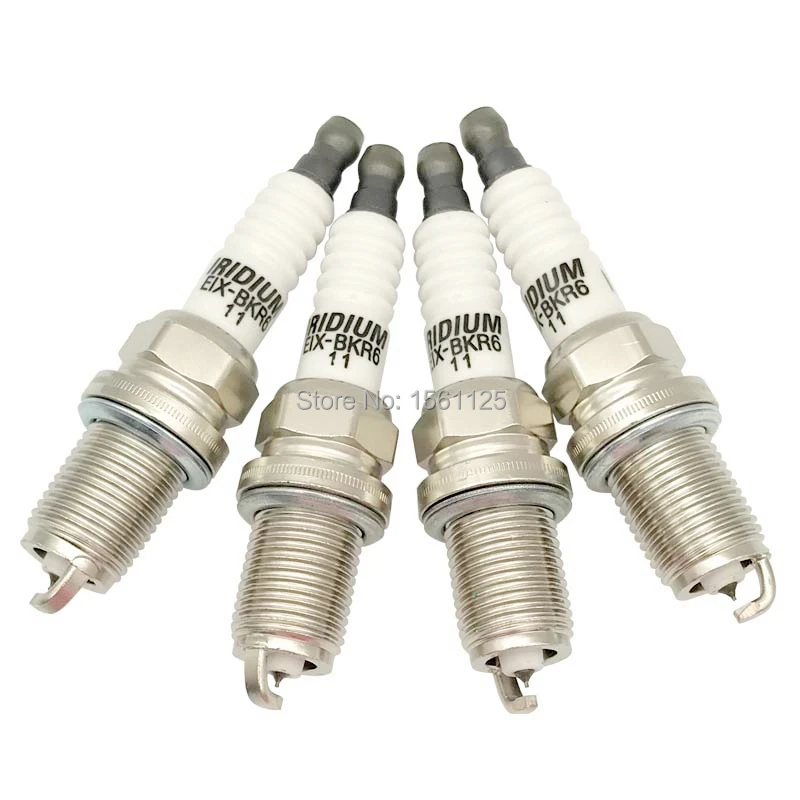 eix-bkr6-11 6009