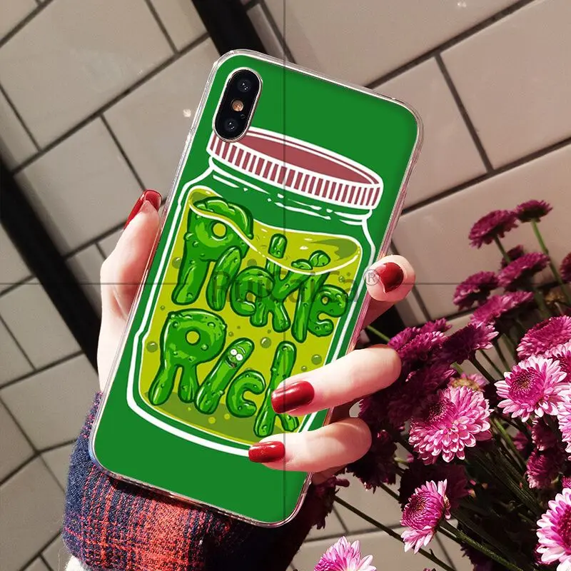 Rick and Morty pickle rick