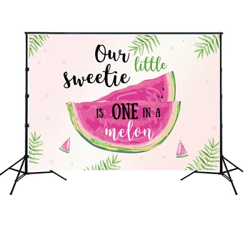 

HUAYI Summer Watermelon One in a Melon Backdrop for Girl 1st Birthday Party Watermelon Party Decor Photoshoot Background w-2057