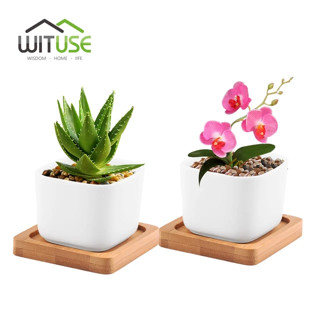 Wituse 2x Size S Square Flowerpot Glazed White Ceramic For Garden Wituse 2x Size S Square Flowerpot Glazed White Ceramic For Garden Pot With Bamboo Plant