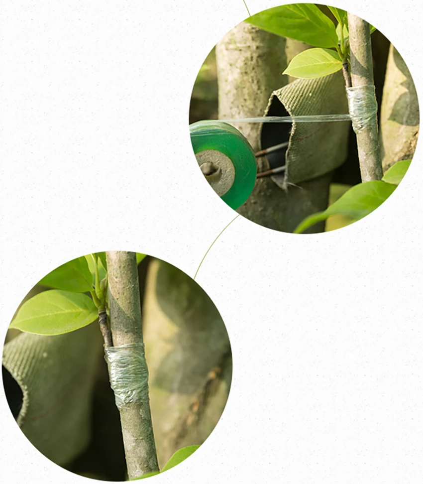 TB2wmBBx25TBuNjSspmXXaDRVXa_!!410136993