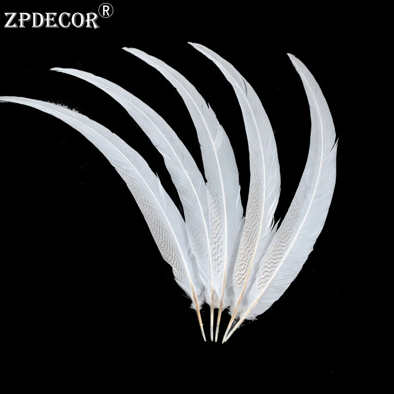 

65-70 CM 26-28 Inch Silver Pheasant Tail Feathers Color can be custom