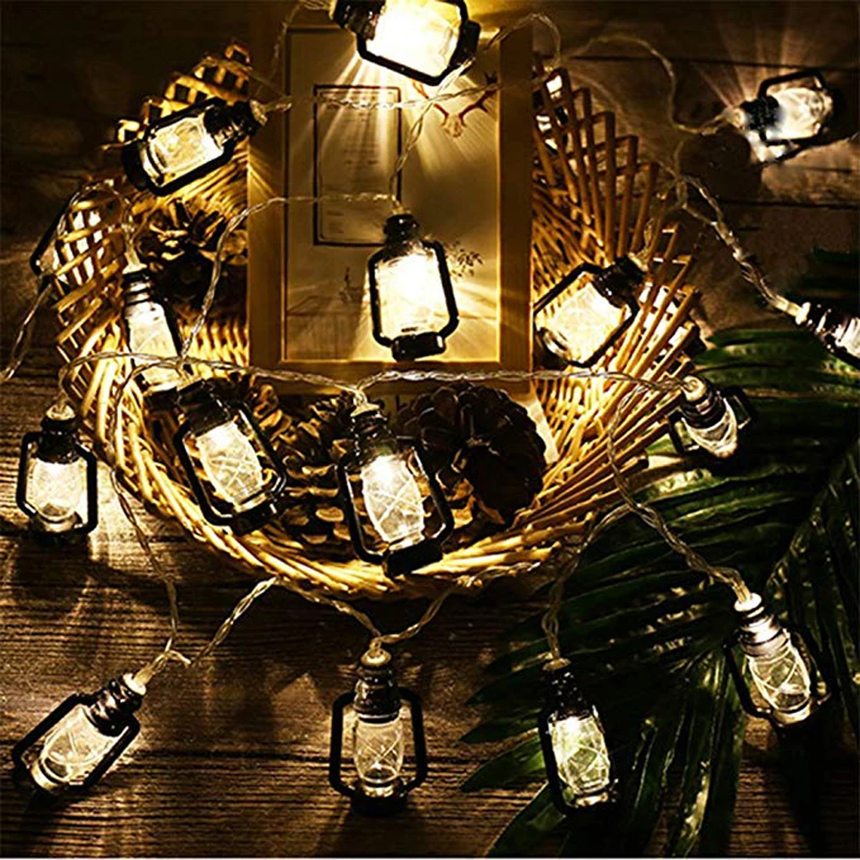 holiday light  (16)