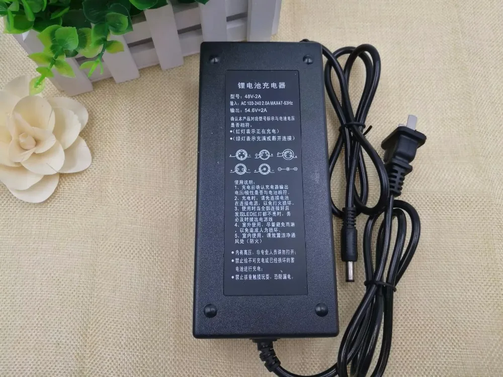 48V 2A 13S bike modification/electric/scooter 54.6v Polymer lithium battery  charger