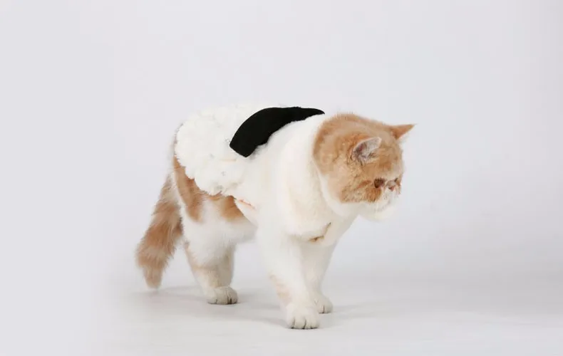 HOOPET Pet Clothes Elegant Luxury Fur Winter Overcoat Small Dog Cat Clothes Bowknot Chihuahua