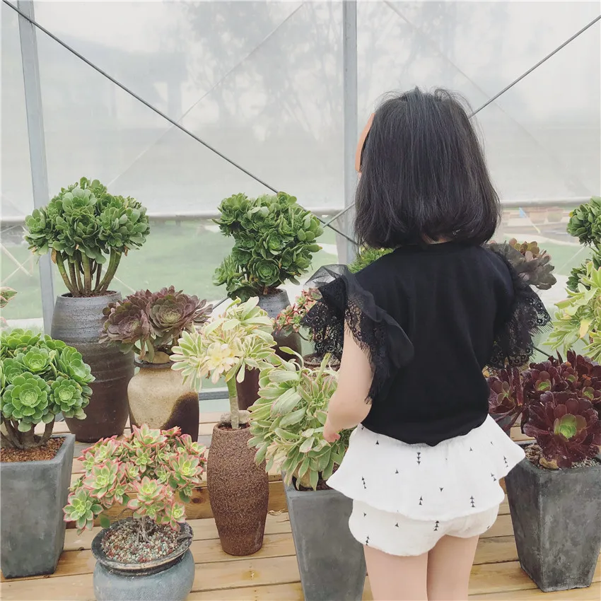 8703364341_345793529