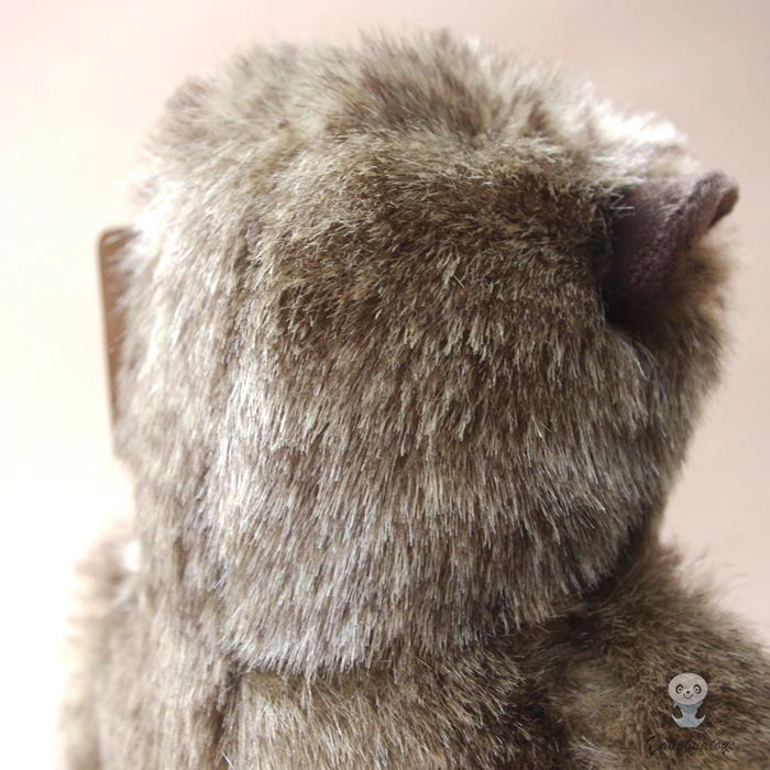 IMGP5481
