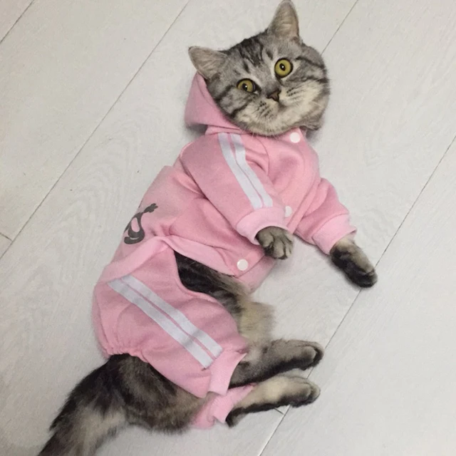 Fashionable Cat Clothes Hooded Coat Jackets