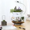 Creative Small Fish Tank Mini Office Fish Tank Small Aquarium Ecological Fish Tank Lazy Fish Tank Home Decoration ► Photo 3/6