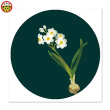 Белые нарциссы, нарисованные на холсте, цифровая живопись, известные картины, абстрактная живопись, цветные нарциссы
