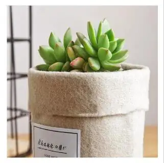

Home Kitchen Bathroom Desktop Plastic Storage Hanging Baskets Seasoning
