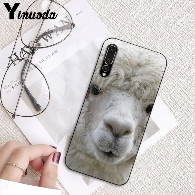 huawei p20 lite coque lama