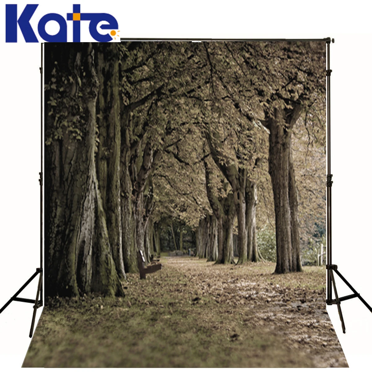 

Baby Photo Background Trees Defoliation Children Photo Background Chair Wooden Background For Photographer