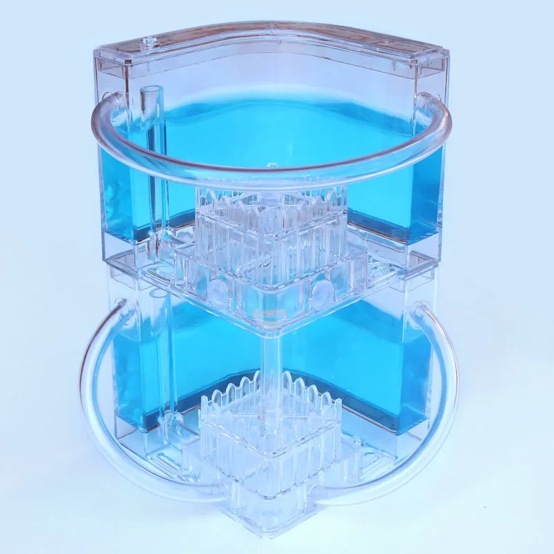 Ant Farm DIY with feeding area ant nest Ant farm acryl Insect ant nests villa pet  for house ants Insect Ecology Box Natural toy (4)