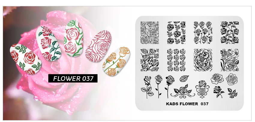 KADS-FLOWER-037_06