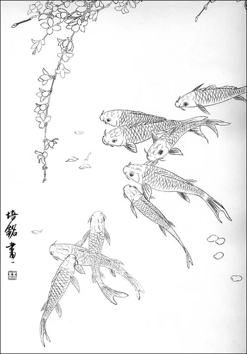 Китайская Карп Рыба кои Лотос 15 "Китайская живопись тату флэш книга|chinese painting