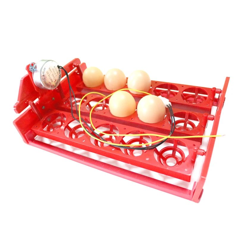 15 Eggs Incubator Egg Tray Automatic Incubator Egg Tray Automatically Turn The Eggs 3 * 5 Holes Poultry Incubation Equipment 15 Eggs Incubator Egg Tray Automatic Incubator Egg Tray Automatically Turn The Eggs 3 * 5 Holes Poultry Incubation Equipment