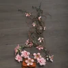 MOLANS-exquisita corona de flores Bohemia, hojas de estimulación, diadema con guirnaldas florales de ratán para novia, accesorios de fotografía de boda ► Foto 2/6