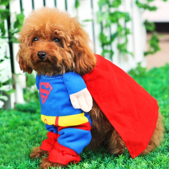 SUPERMAN Pet Cat Dog Costume Party Clothes puppy cosplay FUN size XS to