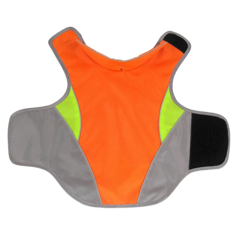 WM0309O (2)