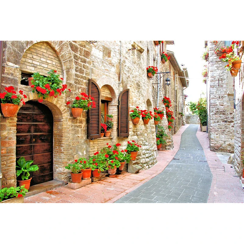 HTB1Sn6qbjnuK1RkSmFPq6AuzFXaI