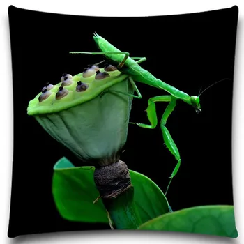 

The lotus root and Grasshopper 16 18 20 inches Cushion Covers Insect Blue Yellow Throw Pillows Cover for Home car sofa Decor