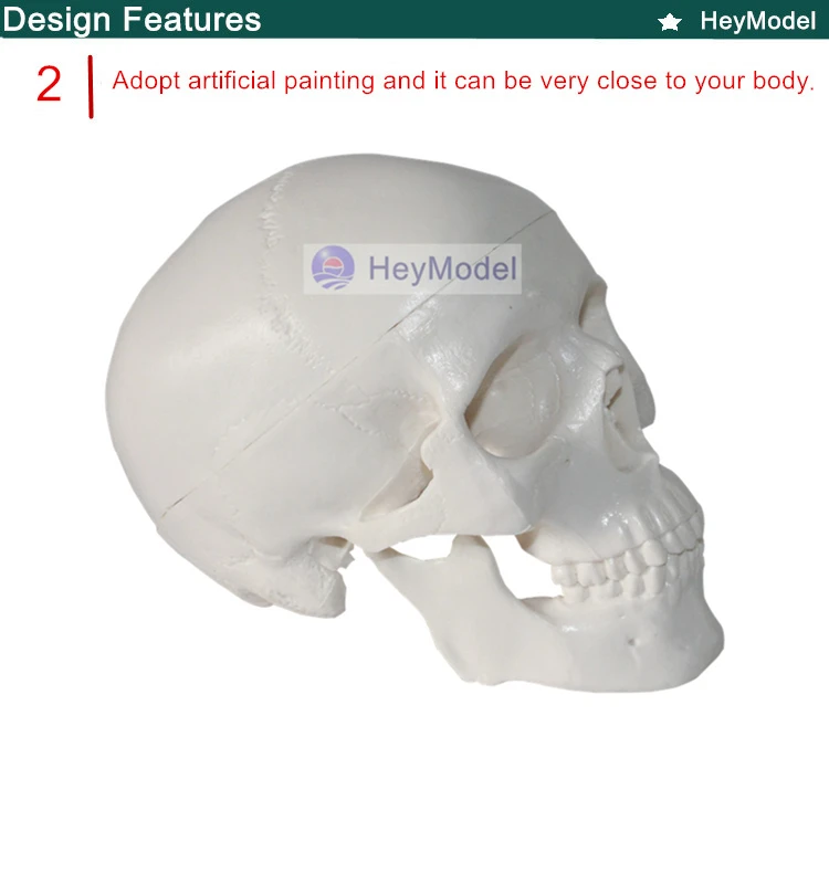 2. _