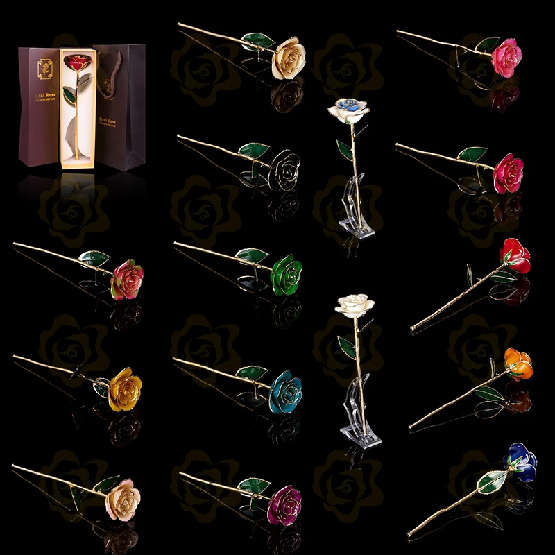 G013colors