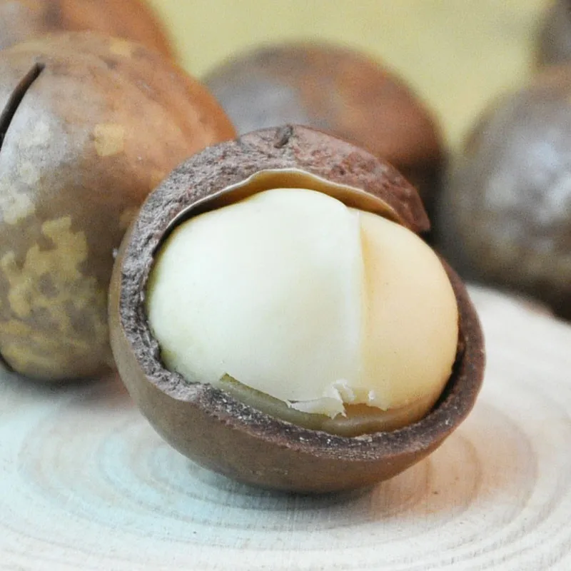 Online Buy Wholesale macadamia nuts from China macadamia nuts