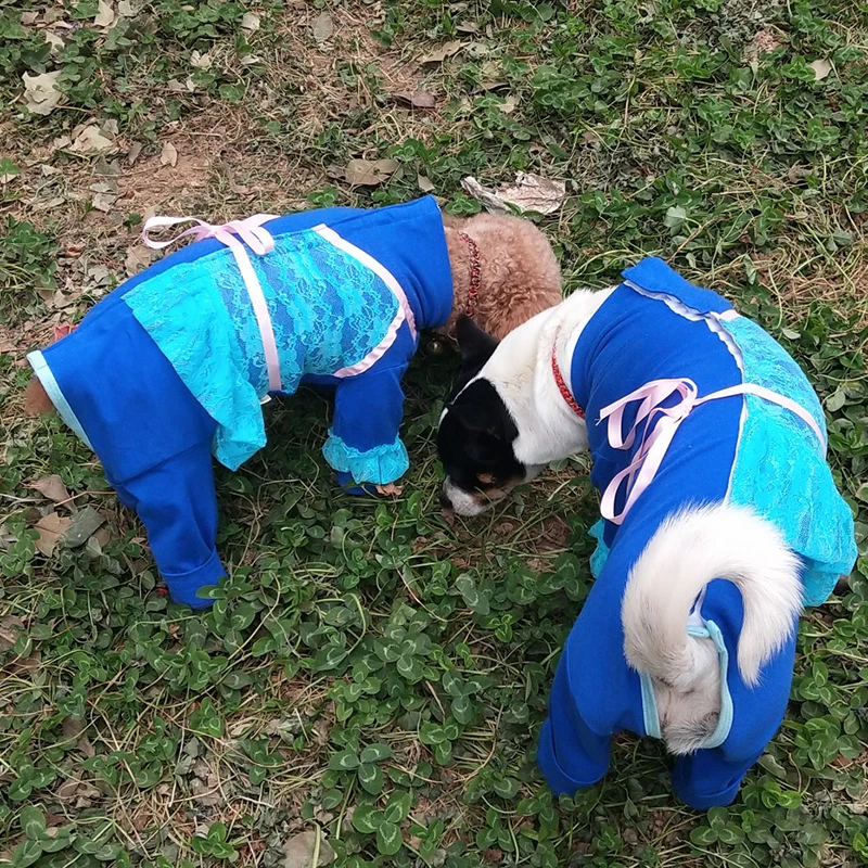 1123