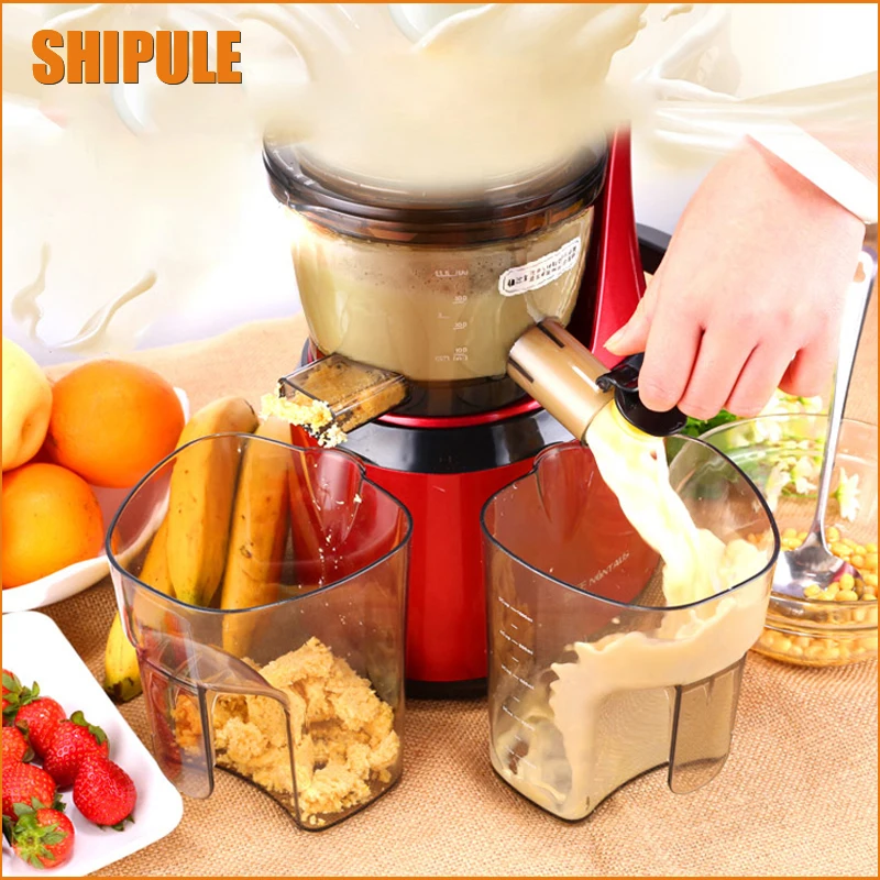 Free Shipping Whole Slow Juicer 150W Big Caliber Fruits Low Speed Juice