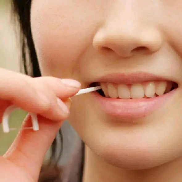 Oral Hygiene Dental Flosser Sticks Dental Water Floss 3