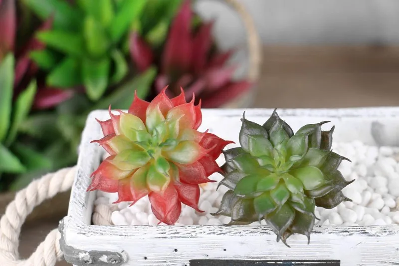 artificial fleshiness Cactus plant real touch palm bonsai local landscape decorative flower for talbe decoration (1)