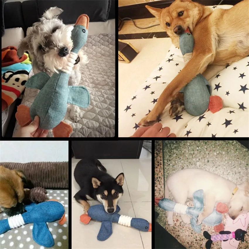 4186862546_994056887