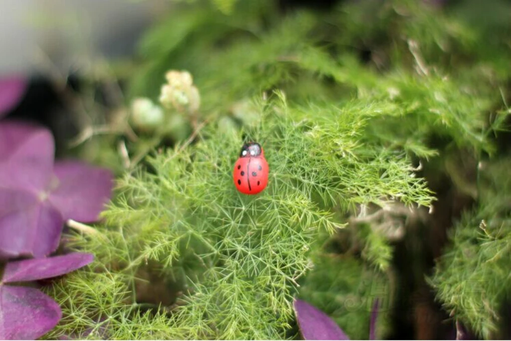 100x Miniature Dollhouse Bonsai Craft Garden Landscape Wooden Ladybug Decor