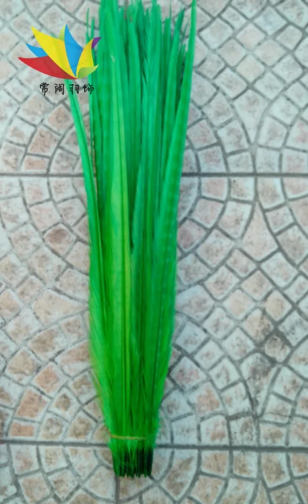 

Wholesale 100pcs/lots pretty Dyed 55-60cm/22-24''' copper chicken feather green pheasant Tail feathers