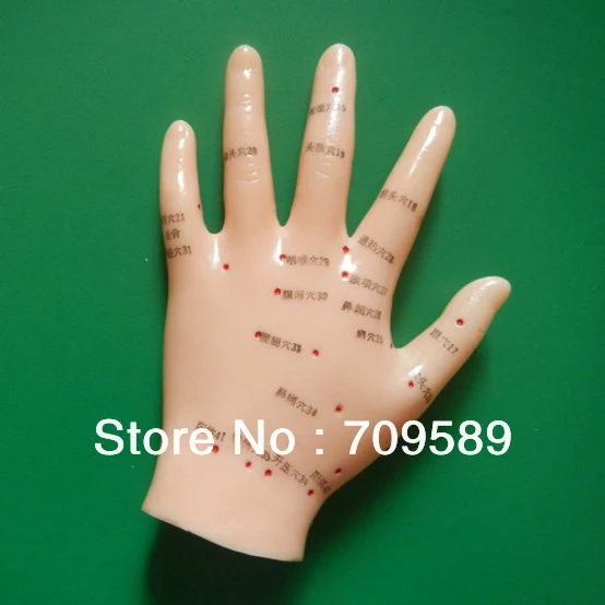 Ручная акупунктурная модель ручная с акупунктурными точками|acupuncture model|acupoint modelhand