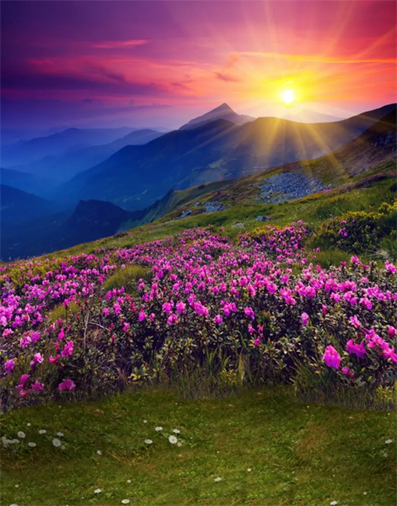 

5x7ft Sunset Purple Flowers Lawn Hill Photography Backdrops Photo Props Studio Background