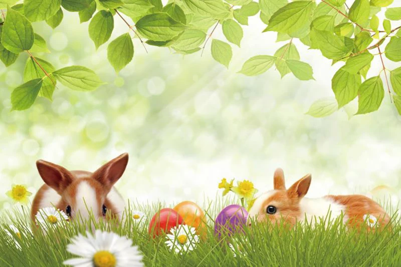 

Laeacco Rabbit Eggs Flowers Baby Children Easter Party Photography Background Customized Photographic Backdrops For Photo Studio