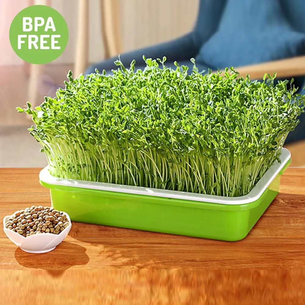 Cabilock Wheatgrass Sprout Tray Seed Sprouter Soilless Alfalfa Seeds Grower Sprouting Germination Basins Water Planting Containers 4pcs
