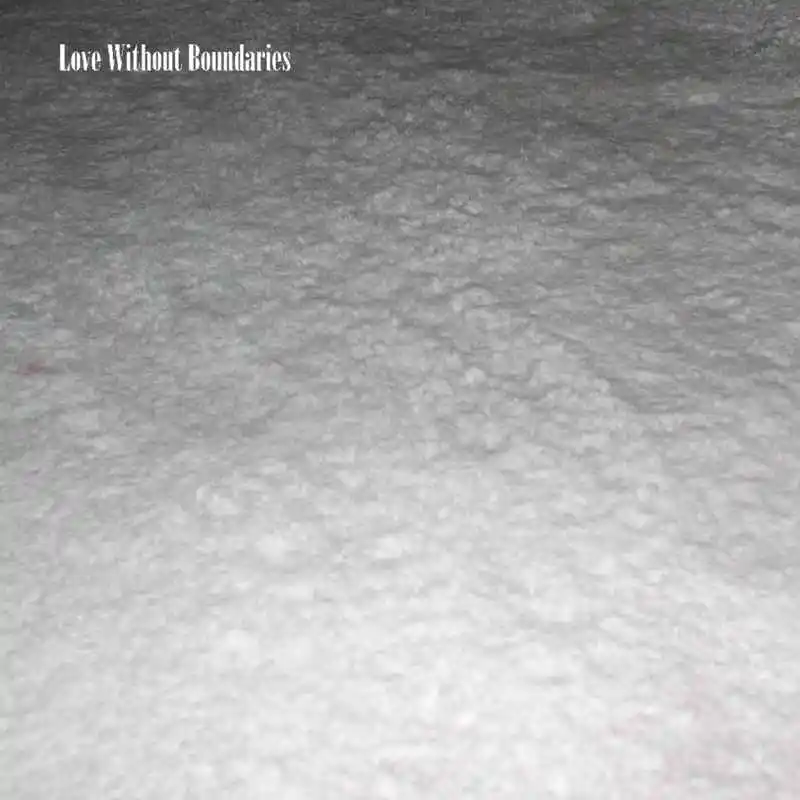 WHITE SNOW CARPET (1)