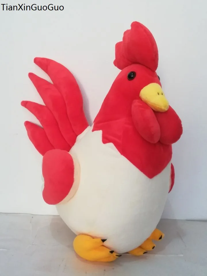 55