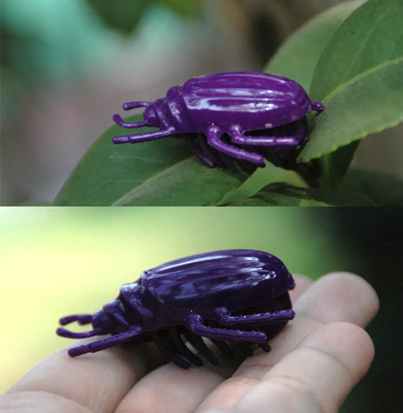 New Mini Electric Dog Cat Pet Toy Interactive Cute Ladybird Beetle Shape Cat Toys Walking Insect Toys Supplies For Cat 5x4cm
