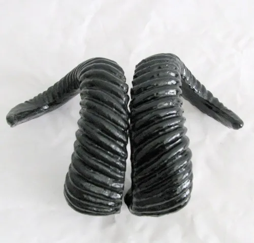 sheep horn black 2