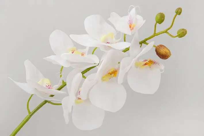 09