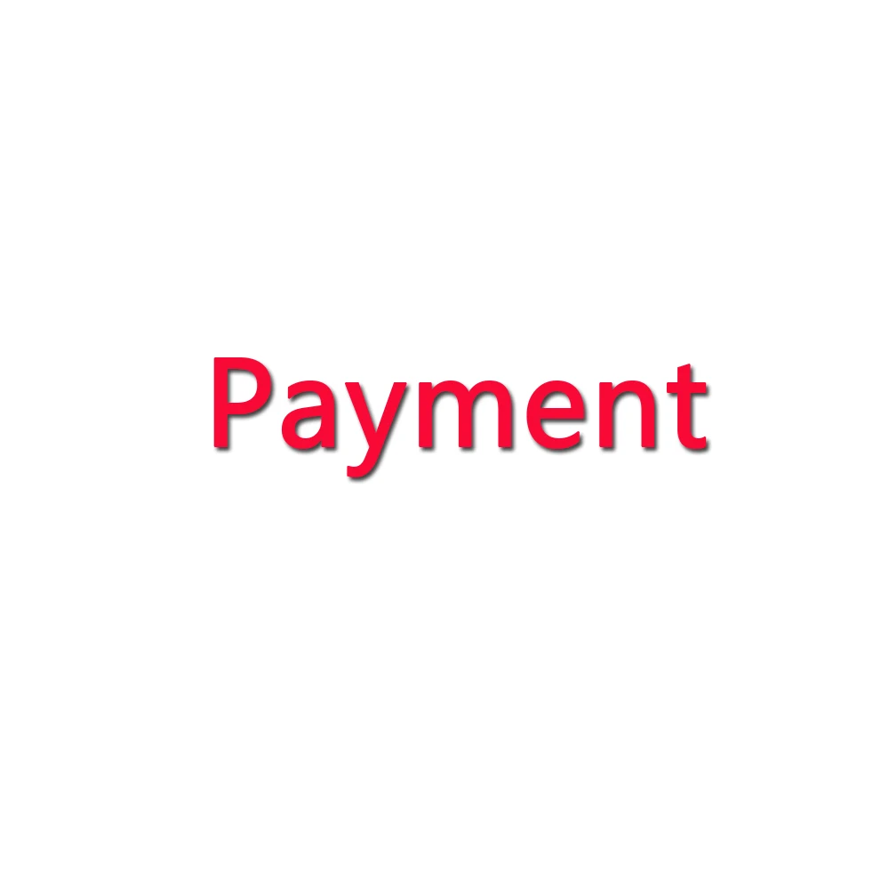 

payment link for customer