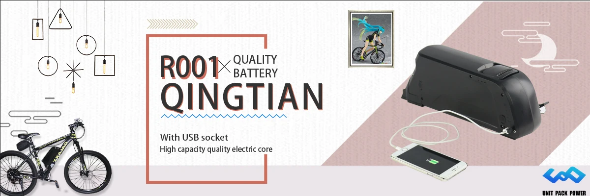 UNITPACKPOWER ebikebattery Store - Small Orders Online Store ...