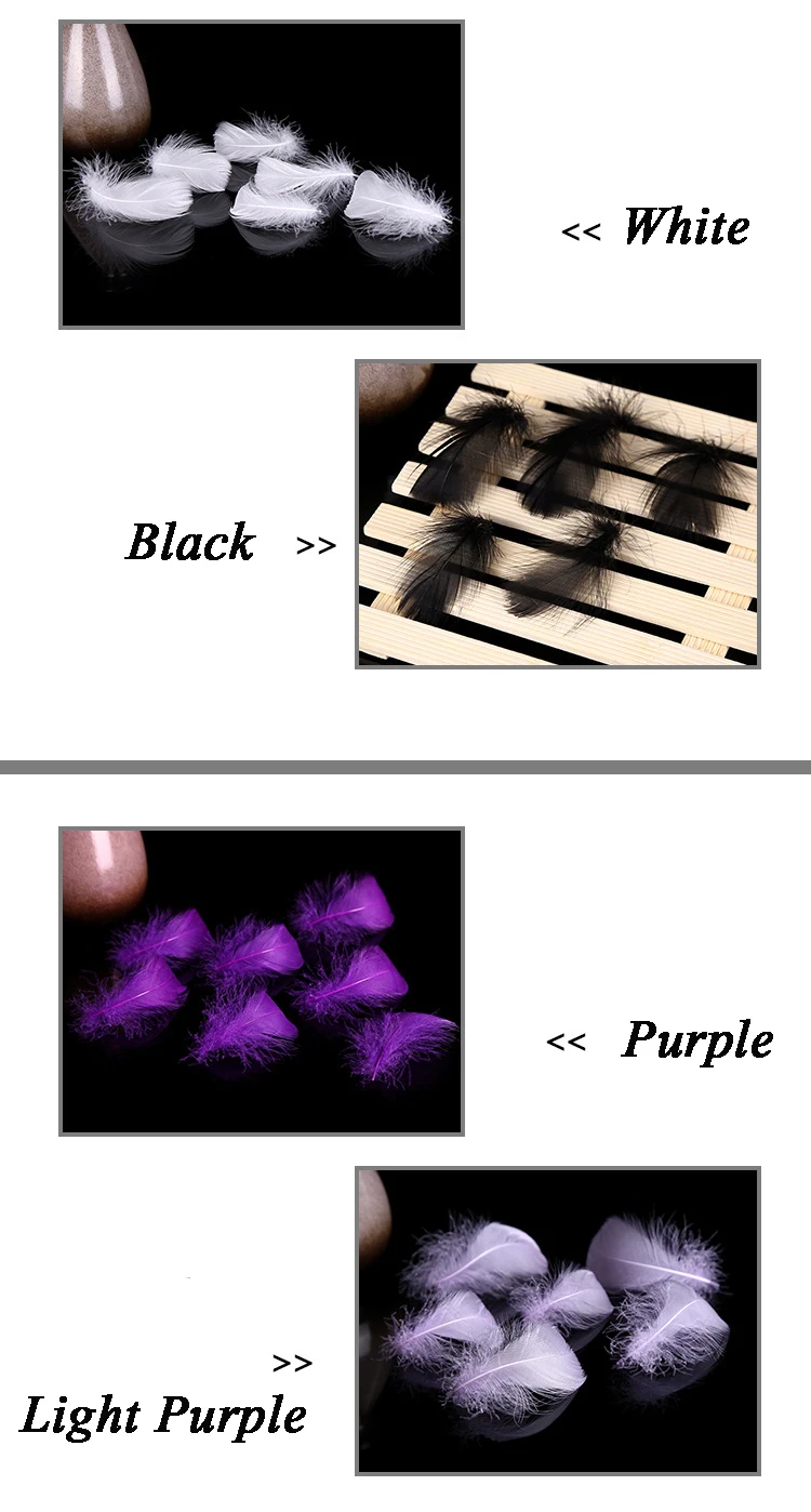 3253804598_1022353483