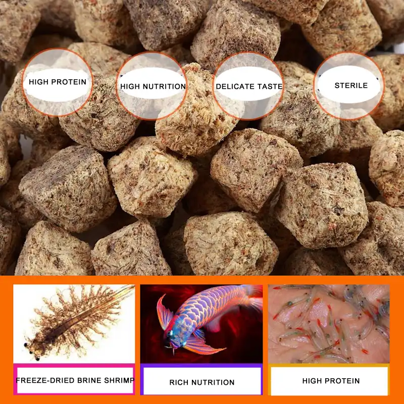 dried shrimp for betta