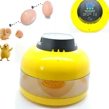 10-Egg Mini Egg Incubator Egg Candler Poultry Chicken Goose Quail Duck Egg Incubator Chicken top selling automatic egg incubator mini 48 egg incubator for sale